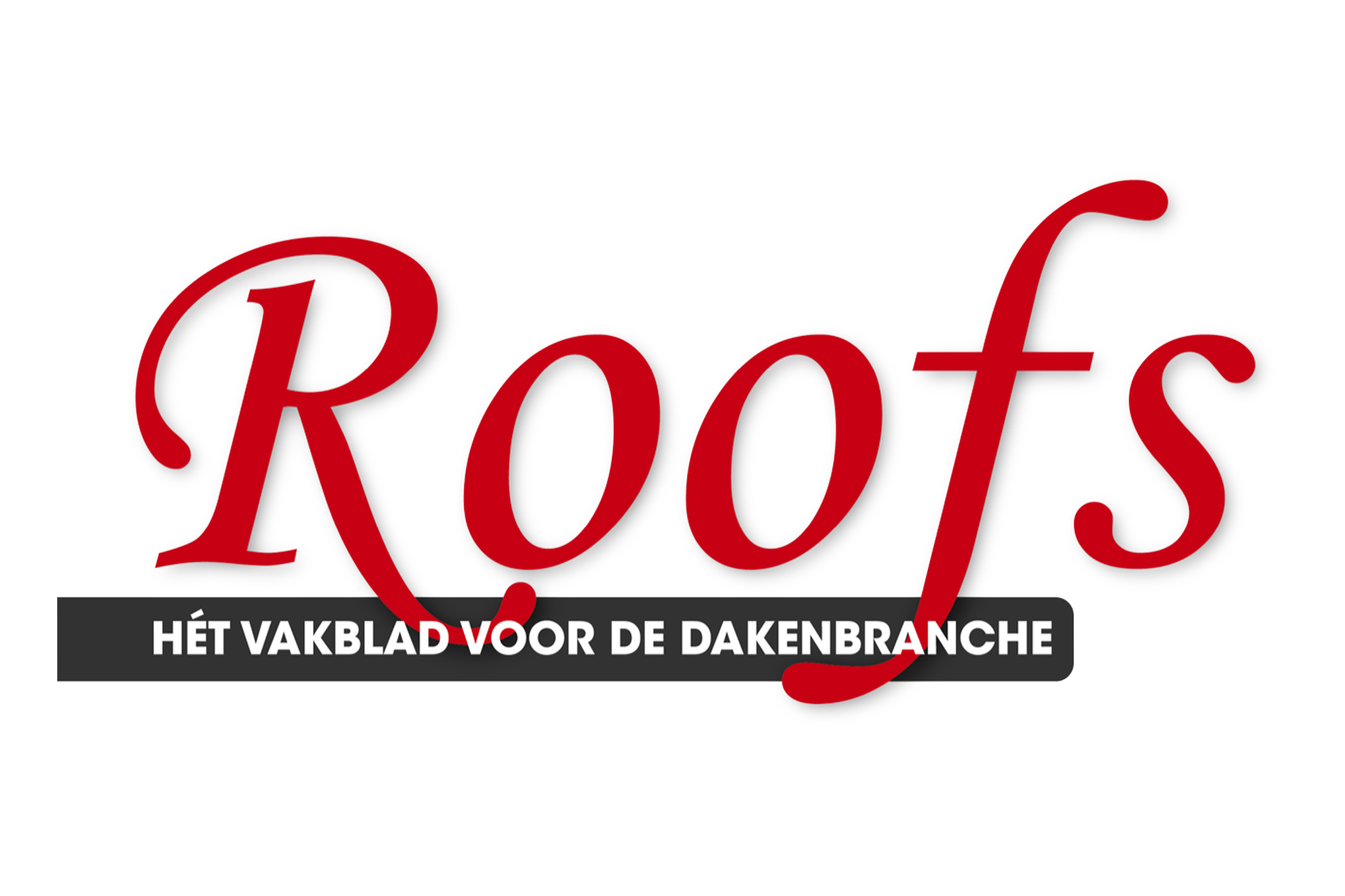 01 QRS Blogs Roofs