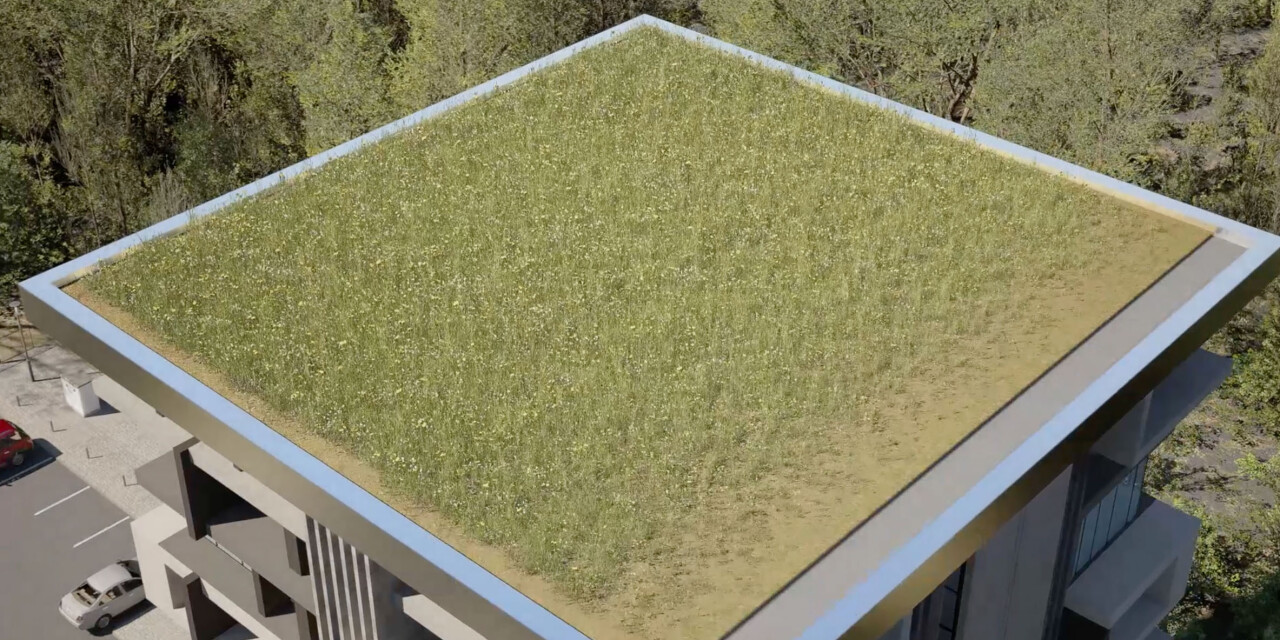 QRS   Blog   Rhepanol animatie   Banner