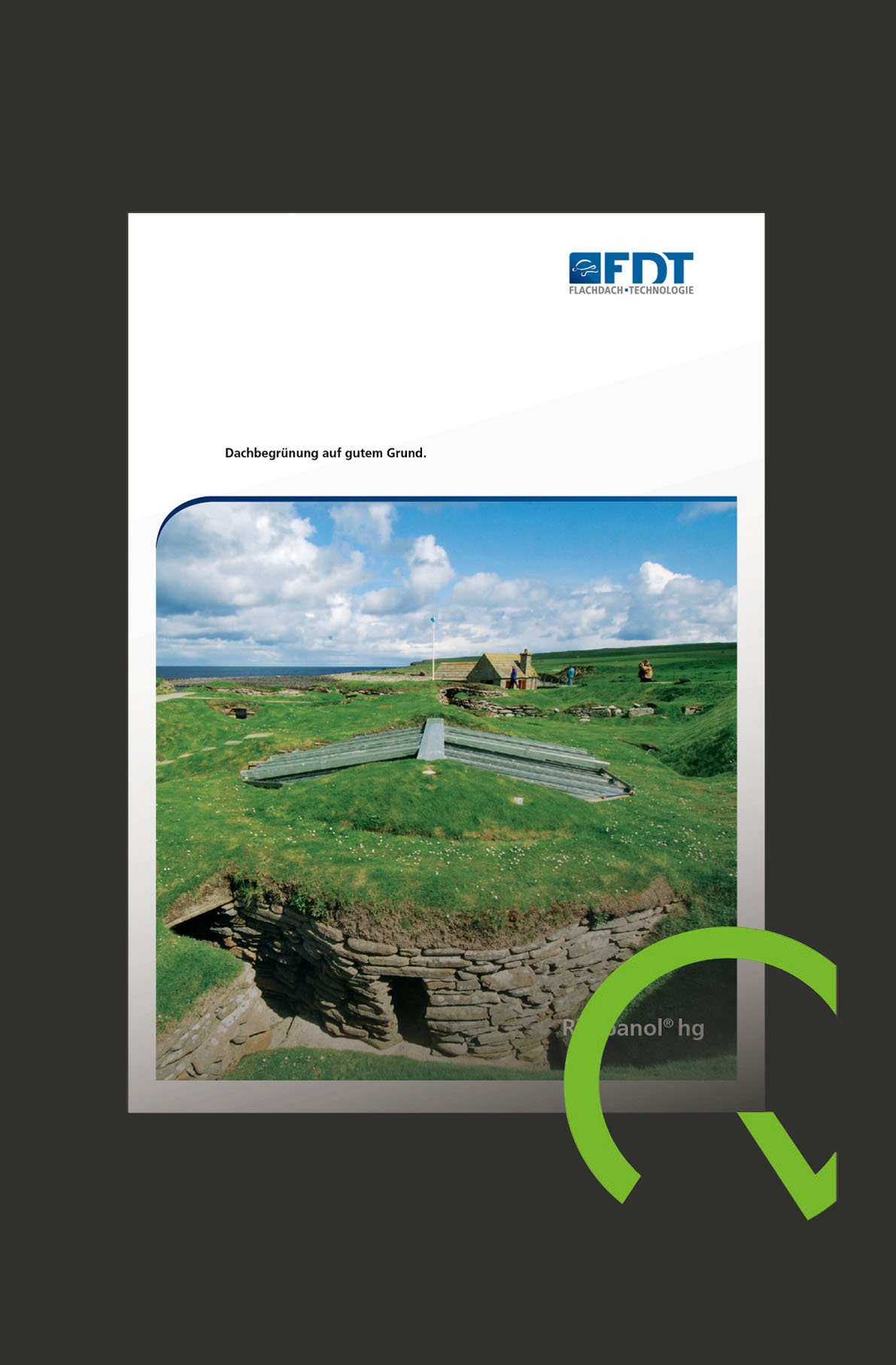 QRS   Rhepanol hg FDT brochure